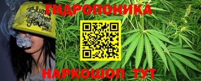 стаф Обь