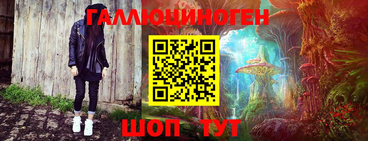 Галлюциногенные грибы Psilocybe Советск